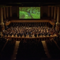 The São Paulo Symphony Orchestra Presents THE AMAZON CONCERT: A Magical Evening, Not Photo