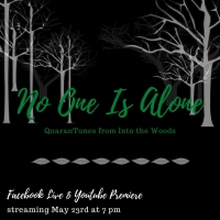 QuaranTeen Theatricals Will Present NO ONE IS ALONE Virtual Performance Photo