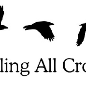 Calling All Crows Announces Newly Appointed Executive Director Photo