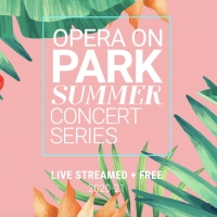 Opera Orlando Brings its Opera on Park Summer Concert Series Online This Year Photo