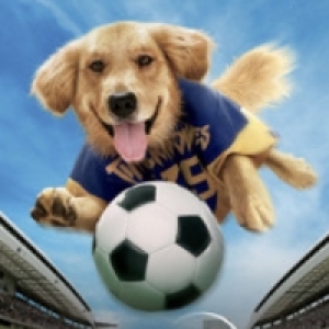 AIR BUD Movie Collection Coming to Disney+