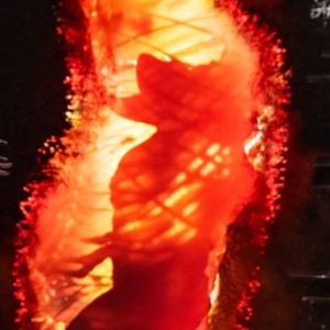 Video: Watch 'Mind-Blowing' Moments From STRANGER THINGS: THE FIRST SHADOW Photo