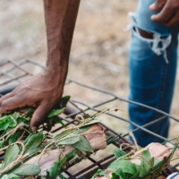 Adelaide Festival Ngarku'adlu - Let's Eat Photo