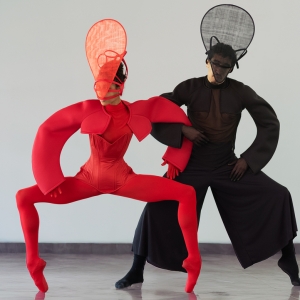 World Premiere Of Kat Mustatea's THE MUTABLES to be Presented at HERE Arts Center Photo