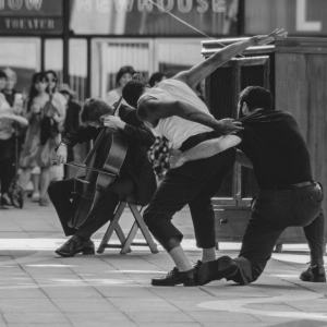 THE CELLO PLAYER to be Presented at The Adams Theater in September Photo
