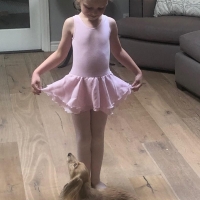 Segerstrom Center For The Arts Announces Schools Opening in September