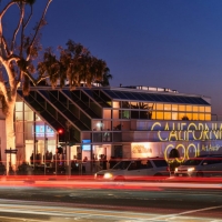 Laguna Art Museum Announces The 40th Annual California Cool Art Auction Photo