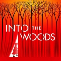 Review: Straight from Broadway, INTO THE WOODS at Belk Theater Video