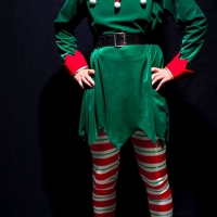 THE SANTALAND DIARIES Returns to The Goodman This Holiday Season