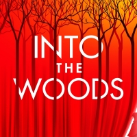 INTO THE WOODS Announces Digital Lottery Photo