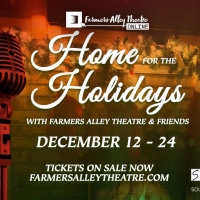 Farmers Alley Theatre to Present HOME FOR THE HOLIDAYS Photo