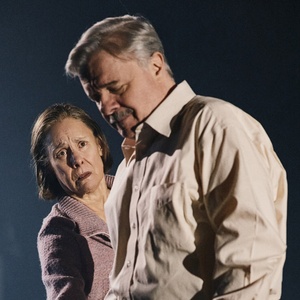 Review Roundup: DEATH OF A SALESMAN Starring Nathan Lane and Laurie Metcalf Photo