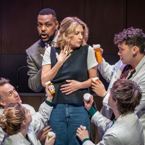Review Roundup: What Did the Critics Think of the UK Premiere of NEXT TO NORMAL? Photo