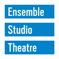 Ensemble Studio Theatre Announces 2019-2020 EST/Youngblood New Members Photo
