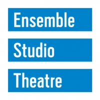 Ensemble Studio Theatre Announces 2019-2020 EST/Youngblood New Members