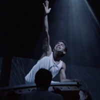 Video: Watch All New Clips From LIFE OF PI on Broadway Ahead of Tonight's Opening Night