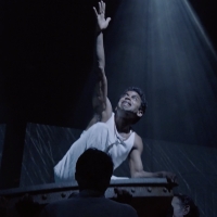 Video: Watch All New Clips From LIFE OF PI on Broadway Ahead of Tonight's Opening…