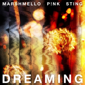 P!NK, Sting & Marshmello Team Up on New Single 'Dreaming' Photo