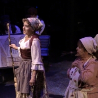 BWW TV: Seniors Take Center Stage in New MTI Adaptation of  FIDDLER ON THE ROOF Video