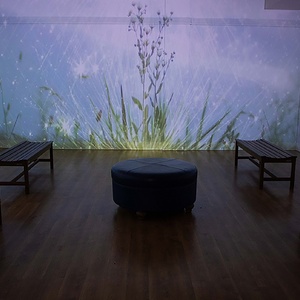 Morris Museum in Morristown-A Fascinating Destination for Culture and Art Photo