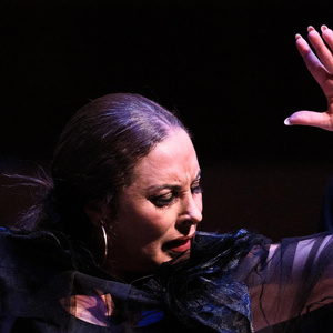 Flamenco Festival NY to Present V&Iacute;NCULO at Joes Pub This March Photo