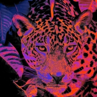 Renaissance Announces Debut Tulum Event With Adam Beyer, Charlotte De Witte & More Photo