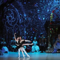 Russian Ballet Theatre to Launch National Tour of SWAN LAKE in Connecticut Photo