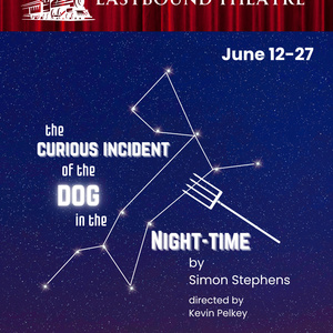 THE CURIOUS INCIDENT OF THE DOG IN THE NIGHT-TIME to Open at Eastbound Theatre Photo