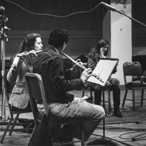 S.E.M. Ensemble to Present SOUND & WORDS at Willow Place Auditorium Photo