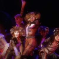 VIDEO: First Look at the National Tour of CATS in San Francisco Video