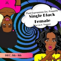 BWW Previews: FLUID EXPRESSIONS COMBINES HUMOR AND POIGNANCY FOR SINGLE BLACK FEMALE  at Stageworks Theatre