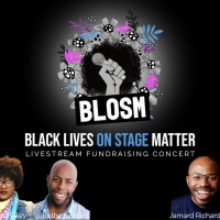 DMR Adventures Introduces The New Livestream Concert Series: BLACK LIVES ON STAGE MAT Photo