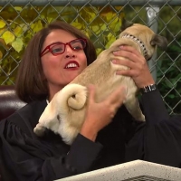VIDEO: Watch Cecily Strong Preside Over a Dog Court on SNL Video
