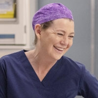 GREY'S ANATOMY Scores Ratings High on ABC