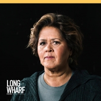 Long Wharf Theatre to Present FIRES IN THE MIRROR Photo