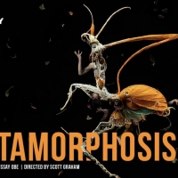 Tour Dates Announced For Frantic Assembly's Adaptation of Franz Kafka's METAMORPHOSIS