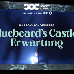 VIDEO: Trailer for BLUEBEARDS CASTLE & ERWARTUNG at the Canadian Opera Company Photo