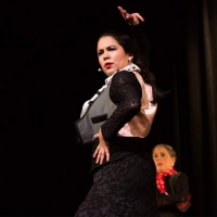 Pan Asian Rep Announces Presenters and Performers for Gala