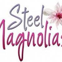 The Hendersonville Performing Arts Company Presents STEEL MAGNOLIAS Photo