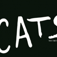 CATS Will Play North Charleston Performing Arts Center Photo