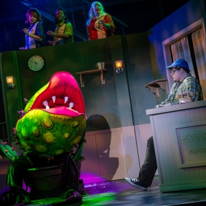 Market House Theatre to Open 61st Season With LITTLE SHOP OF HORRORS Photo