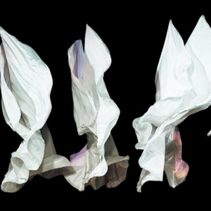 Time Lapse Dance to Present SHAPES OF CHANGE, Honoring Gail Merrifield Papp Photo