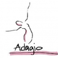 Adagio Dance Studio in Exeter Teaches Virtual Classes Amidst Shutdown Video