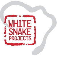 White Snake Projects Receives $750K Mellon Grant Photo