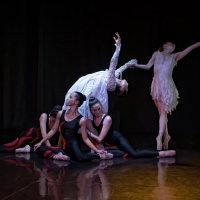 Verb Ballets and BlueWater Chamber Orchestra Join Forces for BUILDING BRIDGES TOGETHE Photo