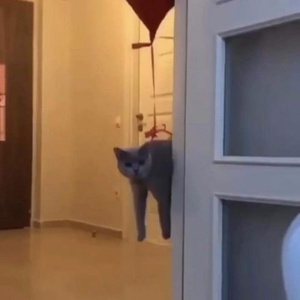 HAPPY BIRTHDAY MARS ROVER to be Presented at Sandbox Theatre Collective Photo