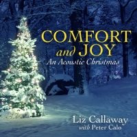 BWW Album Review: Tony Nominee and Emmy Winner, Liz Callaway, Gifts New Holiday Album Comfort and Joy–An Acoustic Christmas That Speaks Directly to the Soul