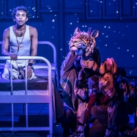 Meet the Cast of LIFE OF PI, Beginning Previews on Broadway Tonight! Photo