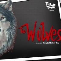 ThinkTank Theatre to Present Industry Night Performance of THE WOLVES by Sarah DeLapp Photo