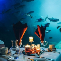 National Marine Aquarium Announces New October Dates For Dining At The Aquarium Photo